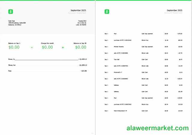 USA Cash App account statement Word and PDF template, 2 pages